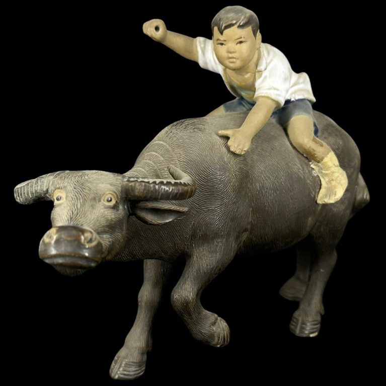 BOY ON BUFFALO