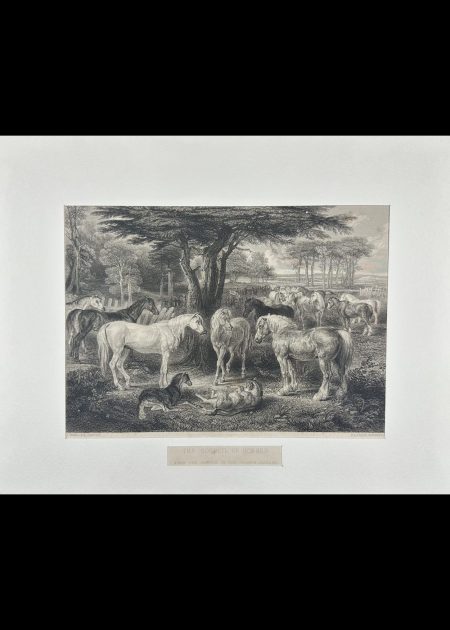 THE COUNCIL OF HORSES