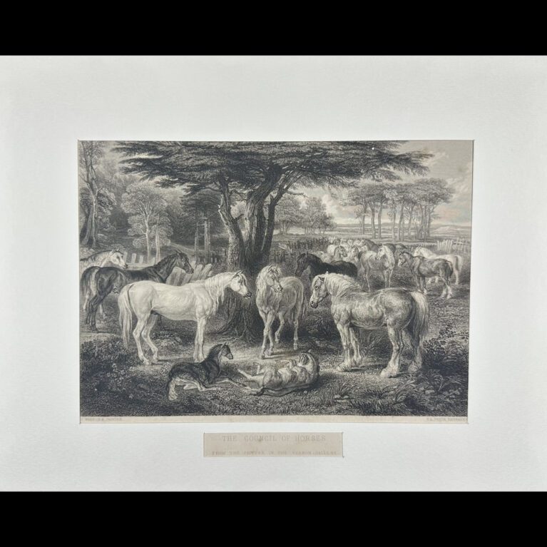 THE COUNCIL OF HORSES