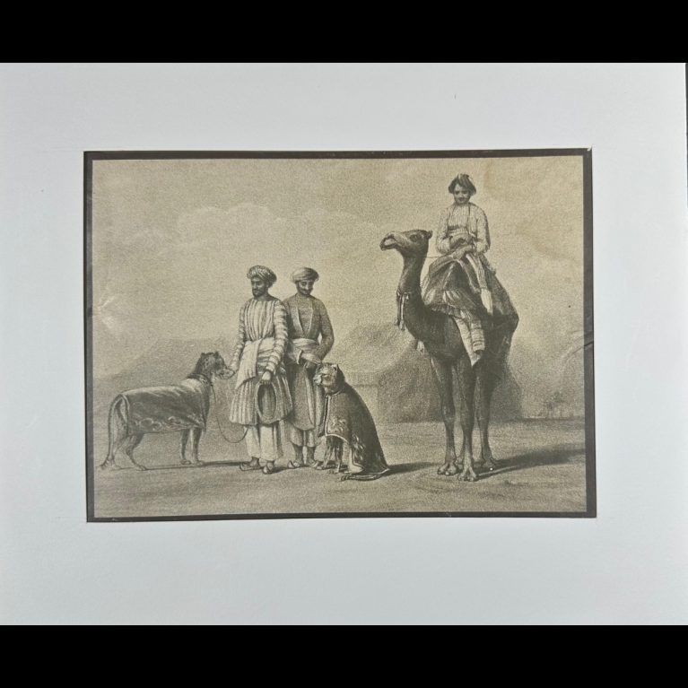 COLONIAL-ERA INDIAN CAMEL CARAVAN