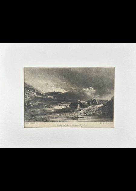 DAIRY OF COWS ON THE FJELD