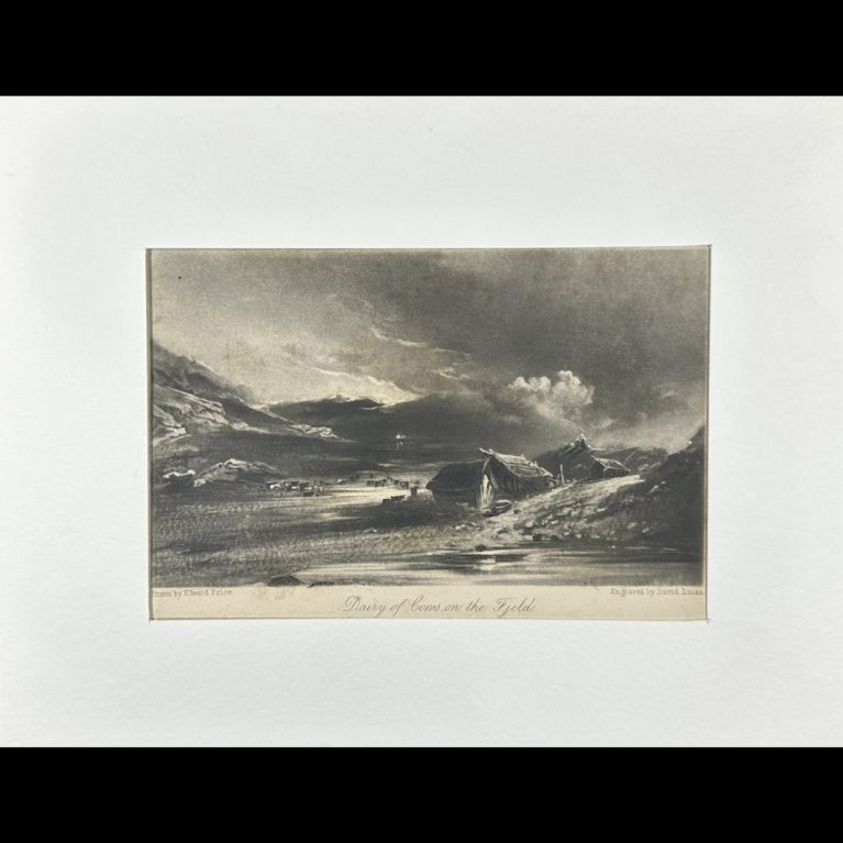 DAIRY OF COWS ON THE FJELD