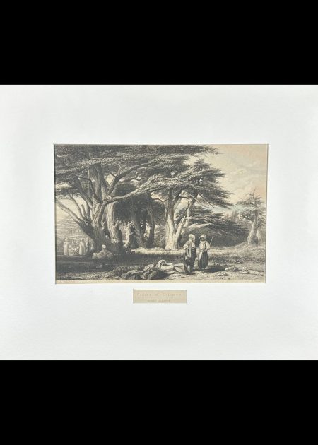 CEDARS OF SOLOMON (MOUNT LEBANON)