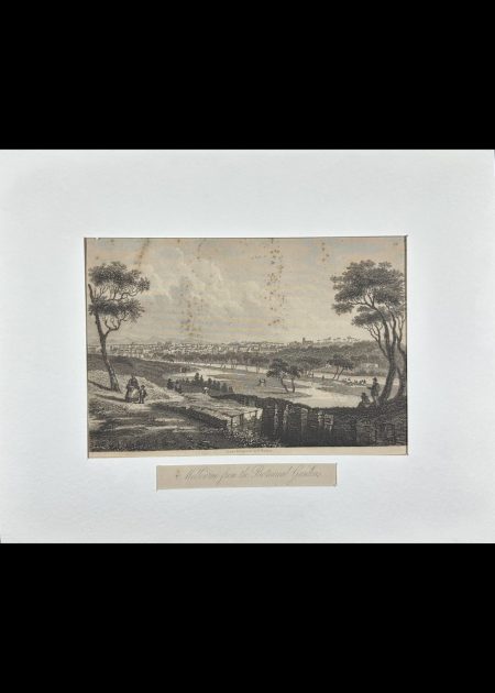 MELBOURNE FROM THE BOTANICAL GARDEN