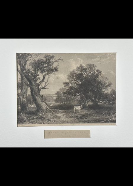 SCENE IN CADYOW PARK