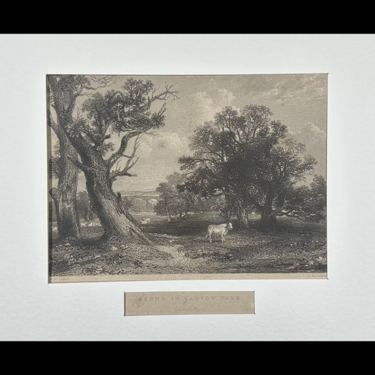 SCENE IN CADYOW PARK