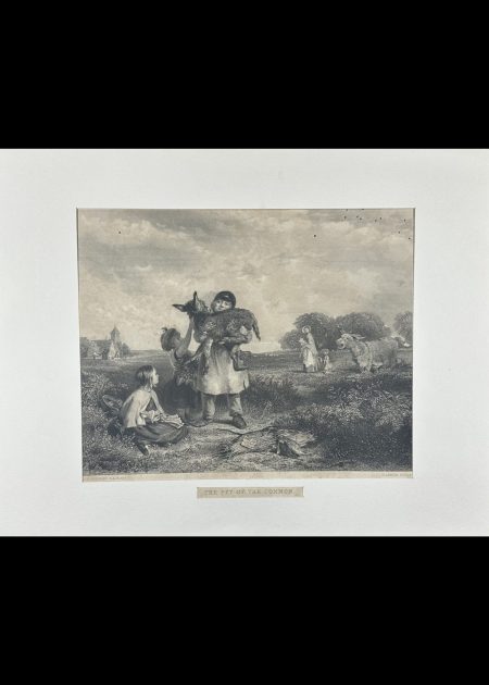 THE PET OF THE COMMON