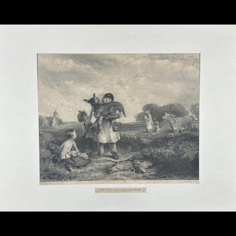 THE PET OF THE COMMON