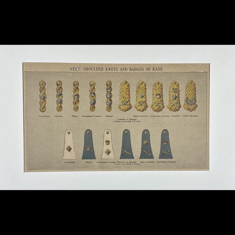 ARMY: SHOULDER KNOTS AND BADGES OF RANK