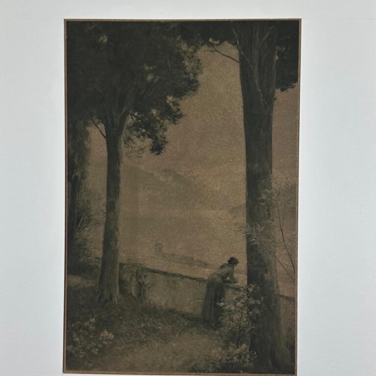 A TERRACE, LAKE OF COMO, MORNING.