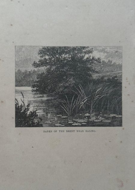 BANKS OF THE BRENT NEAR EALING