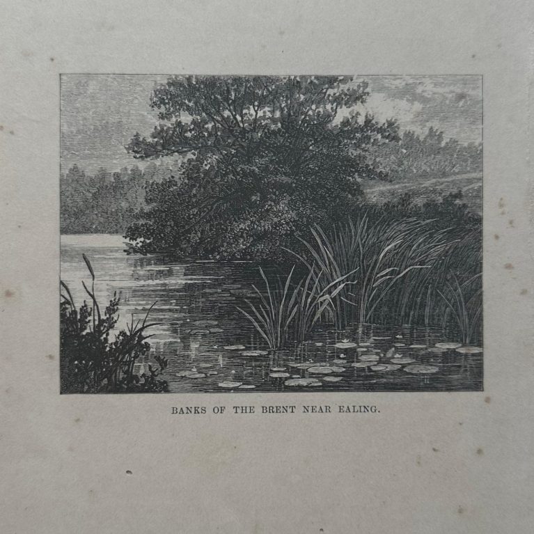 BANKS OF THE BRENT NEAR EALING