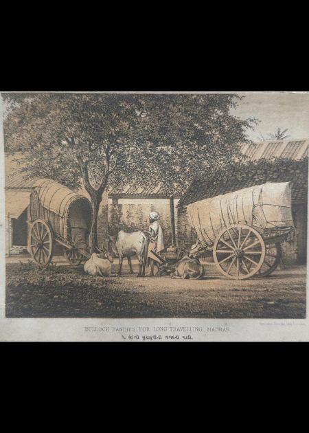 BULLOCK BANDIES FOR LONG TRAVELLING MADRAS