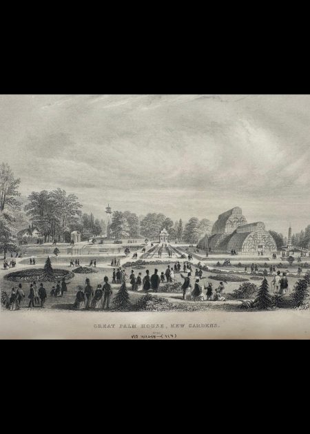 GREAT PALM HOUSE KEW GARDEN