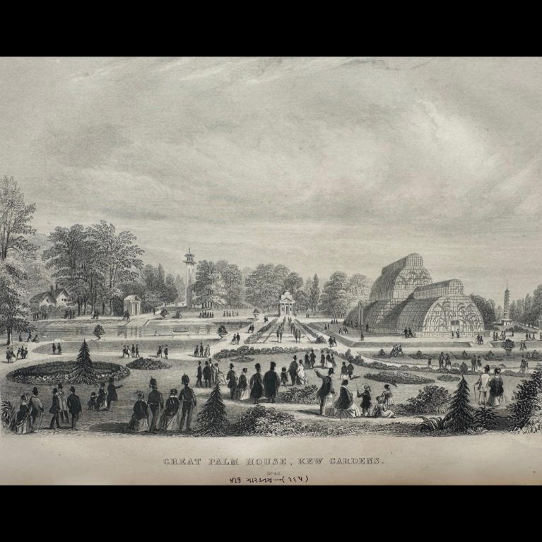 GREAT PALM HOUSE KEW GARDEN