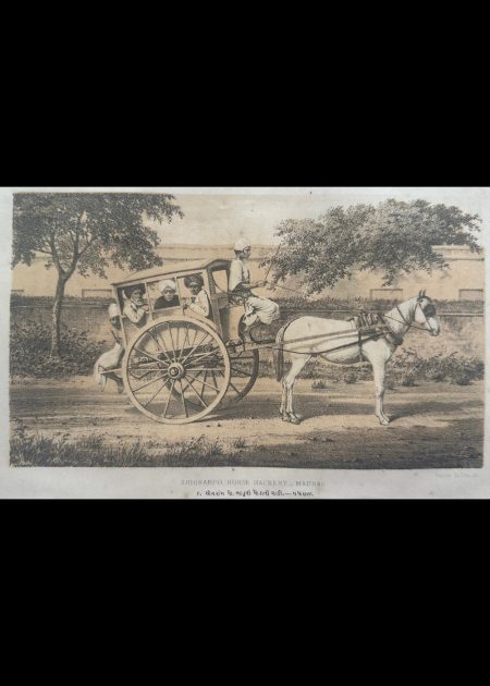 SHIGRAMPO HORSE HACKERY-MADRAS