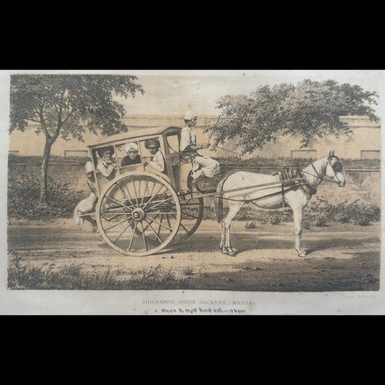 SHIGRAMPO HORSE HACKERY-MADRAS